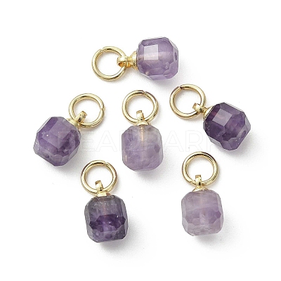 Natural Amethyst Pendants PALLOY-JF05300-02-1