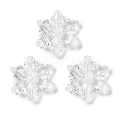 Transparent Acrylic Beads TACR-U008-01B-1