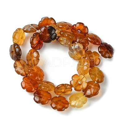Natural Red Agate Beads Strands G-H023-B21-01-1