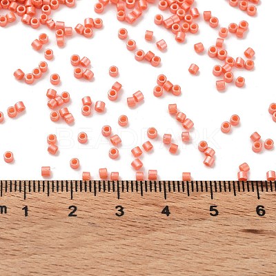 Baking Paint Glass Seed Beads SEED-S042-15B-29-1