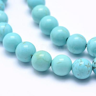 Natural Magnesite Beads Strands TURQ-G148-07-8mm-1