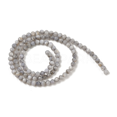 Natural Freshwater Shell Dyed Beads Strands SHEL-R100-12A-04-1