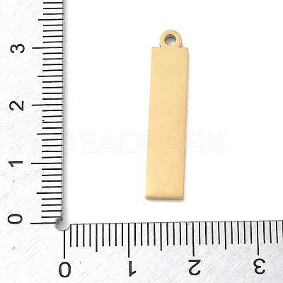 304 Stainless Steel Pendants SA-CBAE115-13B-G-1