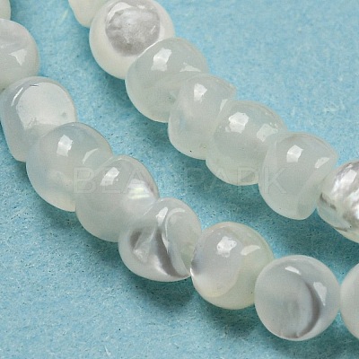 Natural White Shell Dyed Beads Strands BSHE-Z005-03G-1