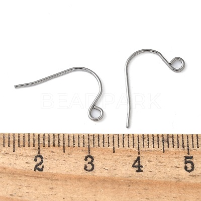 316 Surgical Stainless Steel Earring Hooks STAS-Z124-02C-P-1