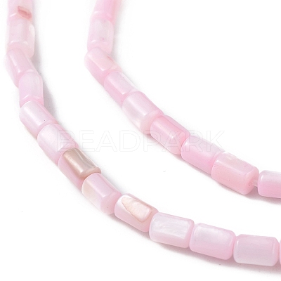 Natural Freshwater Shell Dyed Beads Strands SHEL-M018-12-09-1