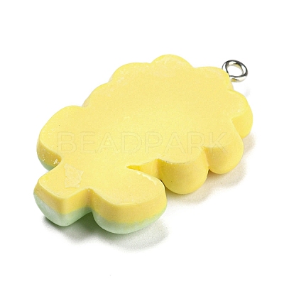 Opaque Resin Pendants RESI-G078-01B-1