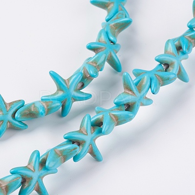 Synthetic Turquoise Beads Strands G-E456-06A-15mm-1