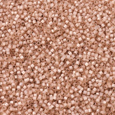 MIYUKI Delica Beads SEED-X0054-DB0622-1