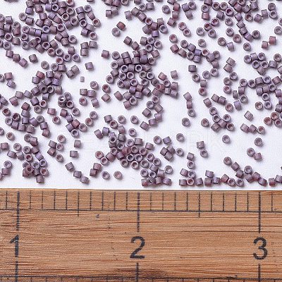 MIYUKI Delica Beads X-SEED-J020-DB1066-1