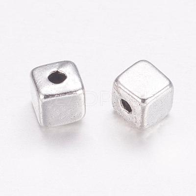 Tibetan Style Alloy Beads X-LF10549Y-1