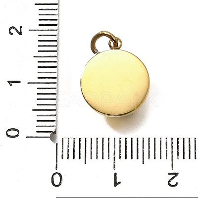 304 Stainless Steel Charms STAS-Q337-20G-1