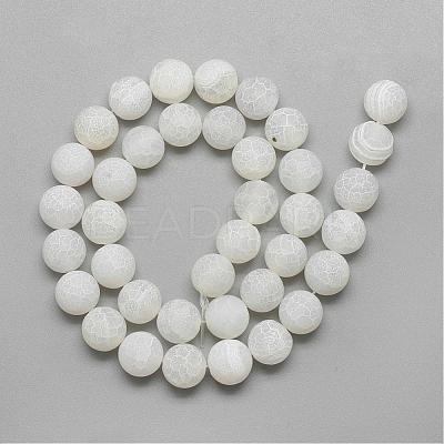 Natural Weathered Agate Bead Strands G-S237-8mm-03-1