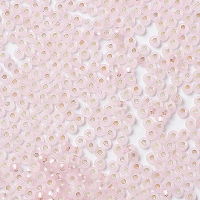 8/0 Glass Seed Beads SEED-Z001-C-E04-1