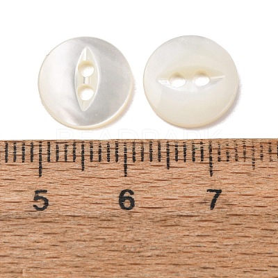 Cat Eye Style Natural Shell Buttons SH-CBAA69B-01A-1