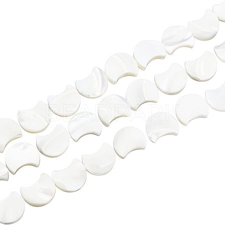 1 Strand Natural White Shell Beads Strands SSHEL-BC0001-18-1