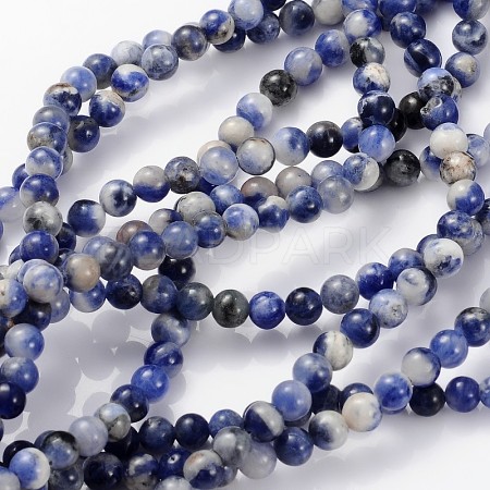 Natural Sodalite Beads Strands GSR4mmC013-1