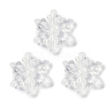 Transparent Acrylic Beads TACR-U008-01B-1