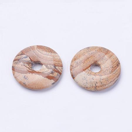 Natural Picture Jasper Pendants G-F524-H04-1