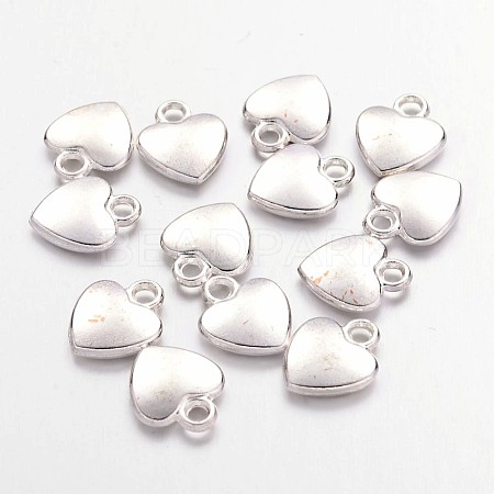 Tibetan Style Alloy Charms LS-K08QL022-1