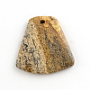 Picture Jasper Gemstone Pendants G-R270-10-2