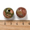 Natural Unakite Beads G-G147-01J-3