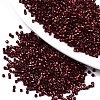 FGB 11/0 Grade A Glass Seed Beads X-SEED-S030-1212-1