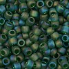 TOHO 8/0 Round Beads SEED-XTR08-0167BF-2