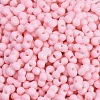 Baking Paint Glass Seed Beads X1-SEED-K010-A17-2