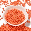 6/0 Opaque Baking Paint Glass Seed Beads SEED-M012-02A-05-2