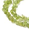 Natural Peridot Beads Strands G-F328-34A-4