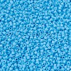 MIYUKI Delica Beads Small X-SEED-J020-DBS0879-3