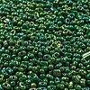 Glass Seed Beads SEED-K009-09A-01-3