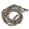 Natural Dalmatian Jasper Beads Strands X-G-G0003-B29-3