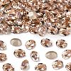 Preciosa® MAXIMA Crystal Fancy Stones X-PRC-FF8-70530-1