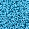 MIYUKI Round Rocailles Beads SEED-X0054-RR4478-3