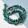 Synthetic Turquoise Dyed Beads Strands G-P507-04B-2