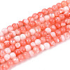 Dyed Natural Trochid Shell/Trochus Shell Beads Strands SSHEL-T017-13D-1