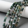 Natural Indian Agate Beads Strands G-H230-63-2