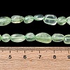 Natural Prehnite Beads Strands G-G018-64-3