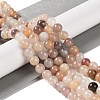 Natural Violet Strawberry Quartz Beads Strands X-G-P530-B02-03-2