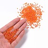 Round Glass Seed Beads SEED-A007-2mm-169B-4