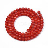 Natural Freshwater Shell Beads Strands X-SHEL-N003-24-B05-2