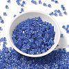 Glass Seed Beads SEED-H002-F-1114-3