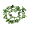Dyed Natural Quartz Beads Strands G-Q606-24A-05-2