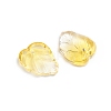 Two-Tone Transparent Glass Charms X-GLAA-H016-15J-2