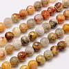 Natural Crazy Lace Agate Beads Strands G-G542-8mm-10-1