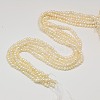 Grade B Natural Cultured Freshwater Pearl Beads Strands X-PEAR-L003-D-03-2
