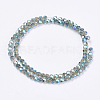 Glass Beads Strands EGLA-F120-M01-5