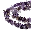 Natural Amethyst Beads Strands Z0RRN-3